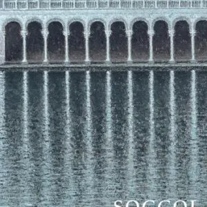 Spedito Oggi Soccol. Riflessioni notturne. Ediz. a colori