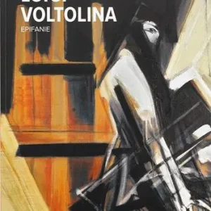 Spedito Oggi Luigi Voltolina. Epifanie