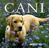 Must-Have I cani. Ediz. illustrata