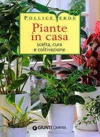 Piante in casa. Scelta, cura e coltivazione Occasione Imperdibile