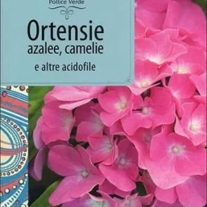 Offerta Del Giorno Ortensie, azalee, camelie e altre acidofile