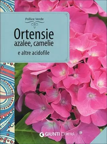 Offerta Del Giorno Ortensie, azalee, camelie e altre acidofile