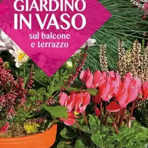 Giardino in vaso sul balcone e terrazzo Non Perdere