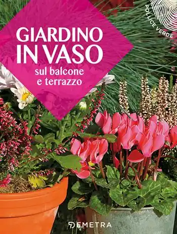 Giardino in vaso sul balcone e terrazzo Non Perdere