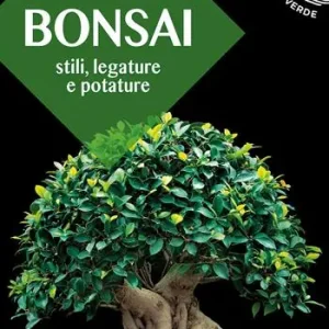 Pagamento Sicuro Bonsai. Stili, legature e potature