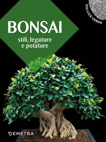Pagamento Sicuro Bonsai. Stili, legature e potature