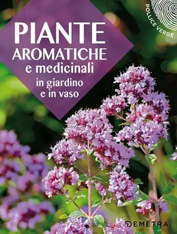 Miglior Prezzo Piante aromatiche e medicinali in giardino e in vaso