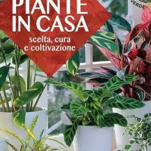 Economico Piante in casa. Scelta, cura e coltivazione