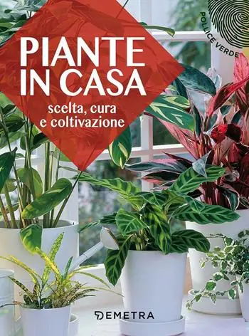 Economico Piante in casa. Scelta, cura e coltivazione