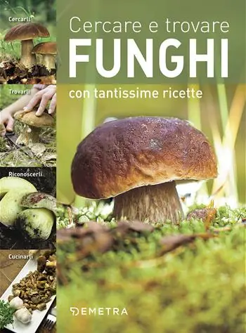 Scelto Dai Clienti Cercare e trovare funghi. Cercarli, trovarli, riconoscerli, cucinarli