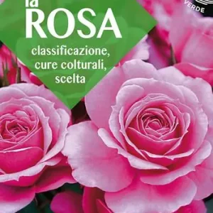 Super Prezzo La rosa. Classificazione, cure colturali, scelta