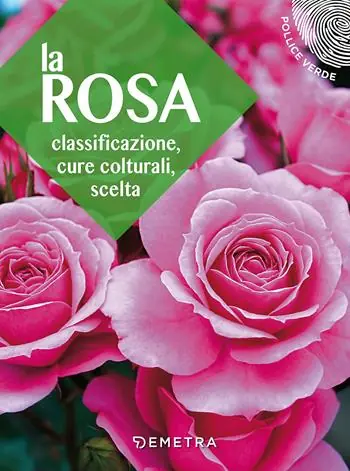 Super Prezzo La rosa. Classificazione, cure colturali, scelta