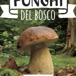 Promozione Esclusiva Funghi del bosco