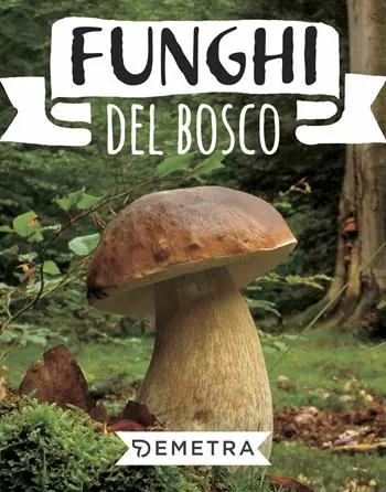 Promozione Esclusiva Funghi del bosco