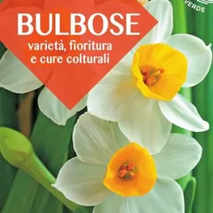 Offerta Del Giorno Bulbose. Varietà, fioritura e cure colturali