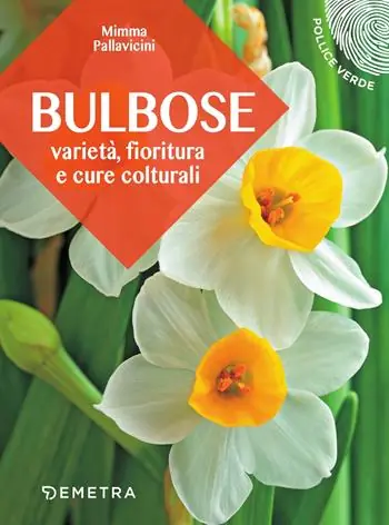 Offerta Del Giorno Bulbose. Varietà, fioritura e cure colturali