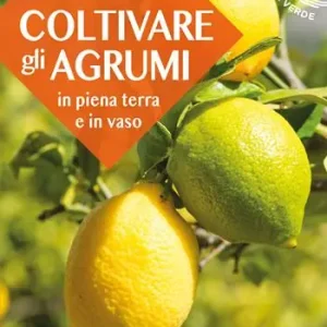 Subito Disponibile Coltivare gli agrumi in piena terra e in vaso