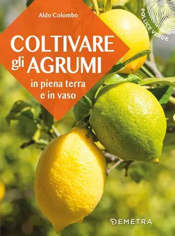 Subito Disponibile Coltivare gli agrumi in piena terra e in vaso