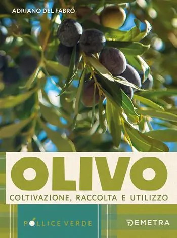 L‘olivo. Coltivazione, raccolta e utilizzo Ultime Pezzi