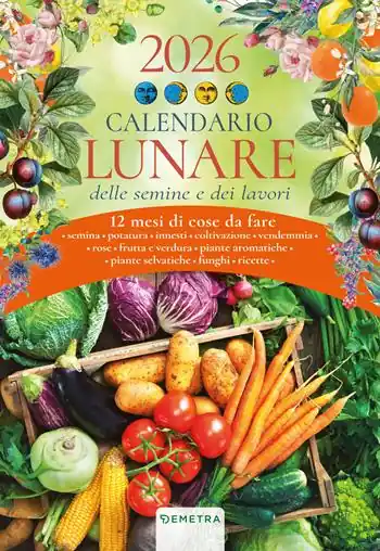 Calendario lunare 2026 da parete Spedito Oggi
