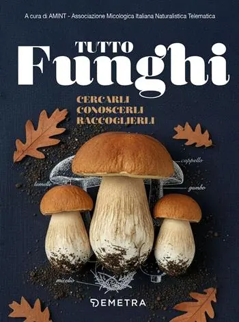 Nuova Collezione Tutto funghi. Cercarli conoscerli raccoglierli
