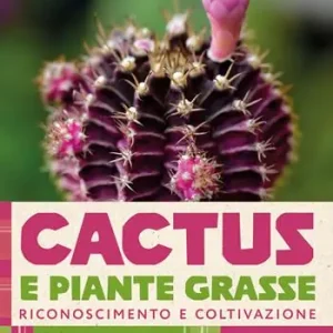Non Perdere Cactus e piante grasse. Riconoscimento e coltivazione