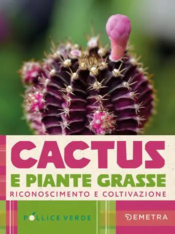 Non Perdere Cactus e piante grasse. Riconoscimento e coltivazione
