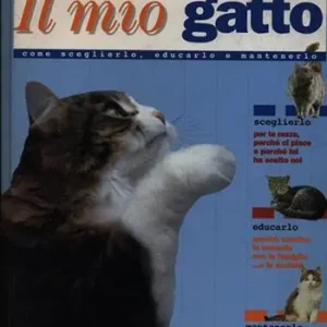 Il mio gatto Ultime Pezzi