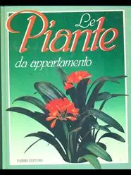 Vendita Finale Piante da appartamento