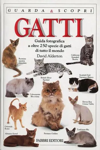 Occasione Imperdibile I gatti