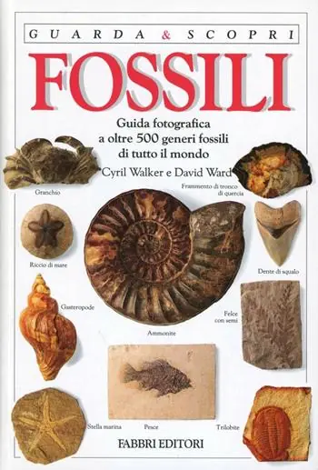 Fossili Pagamento Sicuro