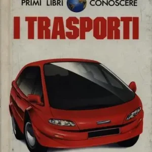 Consegna Rapida Trasporti