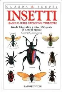 Insetti, ragni e altri artropodi terrestri. Guida fotografica a oltre 300 specie di tutto il mondo. Ediz. illustrata Offerta Limitata