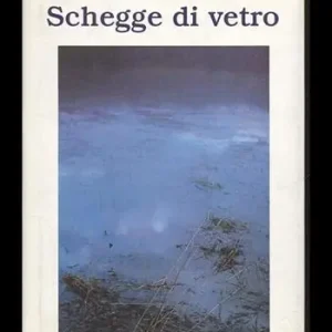 Schegge di vetro Offerta Del Giorno