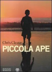 Piccola ape Ultima Occasione