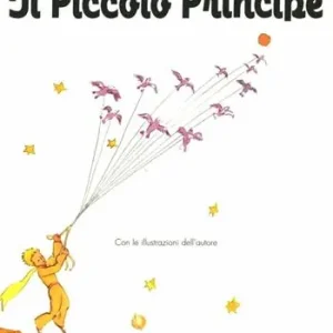 Offerta Lampo Il Piccolo Principe. Progetto speciale. Ediz. illustrata