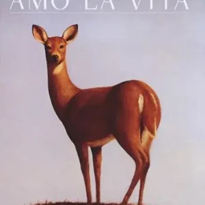 Amo la vita Spedito Oggi