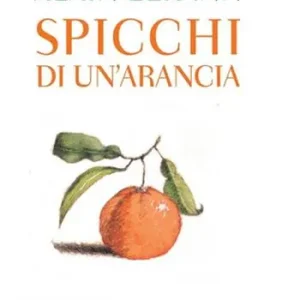 Spicchi di un‘arancia Promo Stagionale