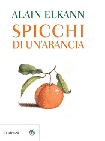 Spicchi di un‘arancia Promo Stagionale