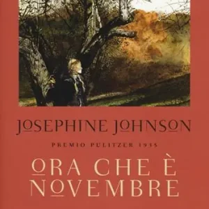 Ultime Pezzi Ora che è novembre