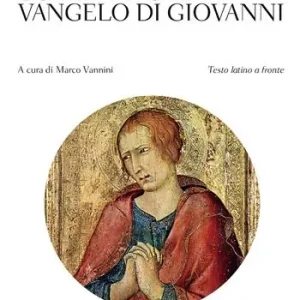 Commento al Vangelo di Giovanni. Testo latino a fronte Più Venduto