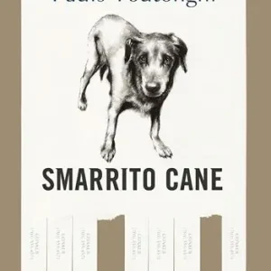 Smarrito cane Occasione Imperdibile