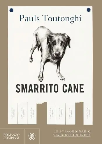 Smarrito cane Occasione Imperdibile