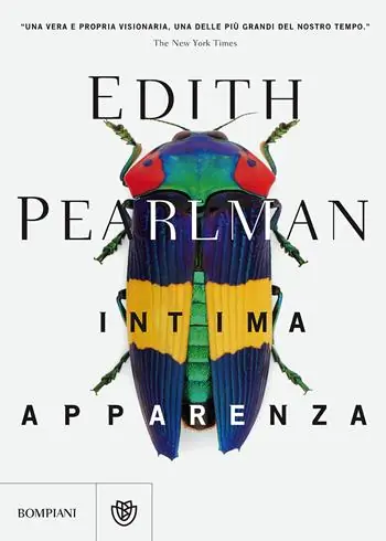 Subito Disponibile Intima apparenza