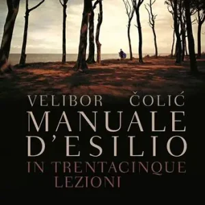 Manuale d‘esilio Solo Oggi