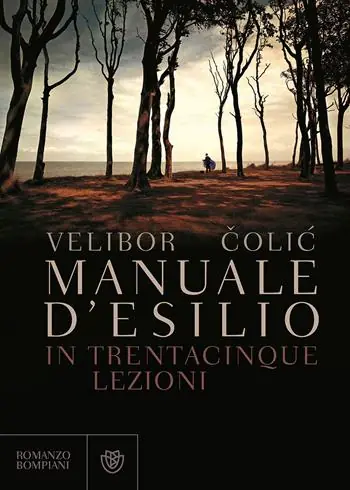 Manuale d‘esilio Solo Oggi