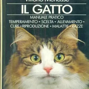 Il gatto Ultimissimo Modello