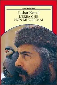 Economico L‘erba che non muore mai