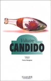 Offerta Del Giorno Candido