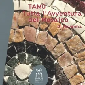 TAMO. Tutta l‘avventura del mosaico di Ravenna. Ediz. illustrata Ultima Occasione